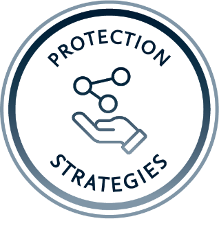 Protection Strategies circular icon- Wisdom to Wealth